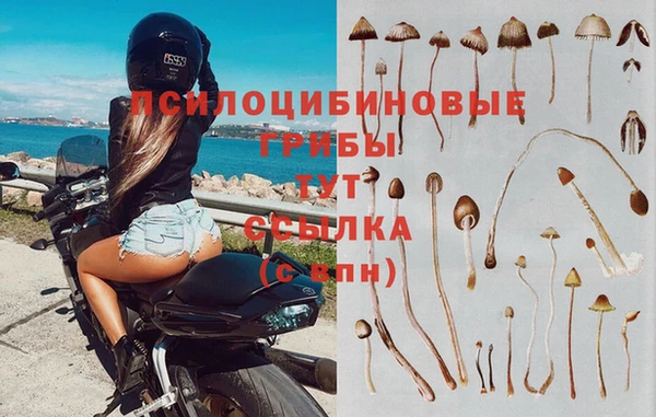 ECSTASY Арсеньев