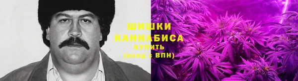 дмт Аркадак