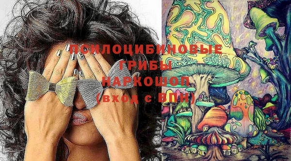 ECSTASY Арсеньев