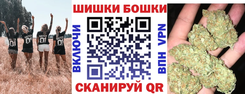 Бошки марихуана SATIVA & INDICA  где купить наркоту  Партизанск 
